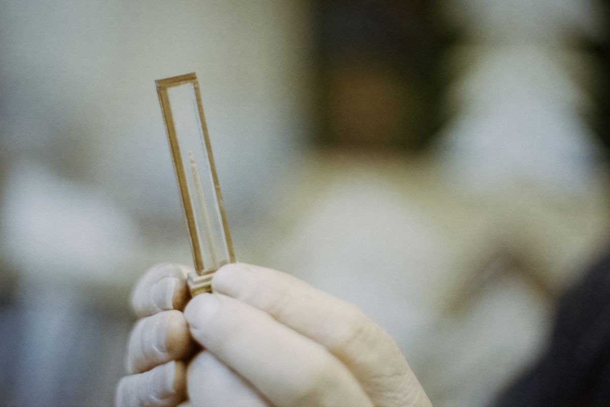 The Menders - Kit's original Willard Wigan artwork